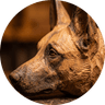 K9 Krafted — hand-carved dog head logo